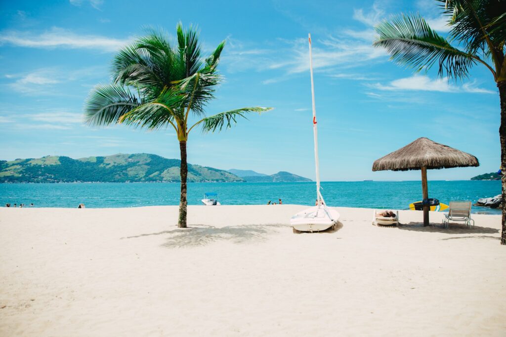 Palm trees on a tropical beach in Zanzibar